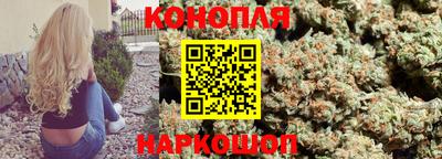 apvp Заводоуковск